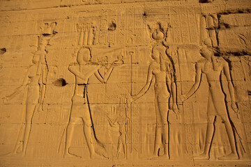 Dendera Temple complex in Egypt. Hieroglypic carvings on wall at the ancient egyptian temple.