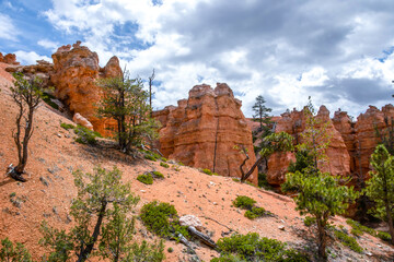 Red Rocks Hoodoos in Bryce Point at Bryce Canyon National Park, Utah