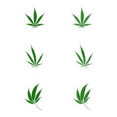 Fototapeta premium Set icon of Cannabis vector. Cannabis leaf logo.