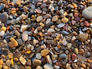 Beach Pebbles