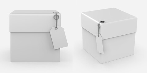 packaging box with Label Mockup isolated white background. 3d illustration