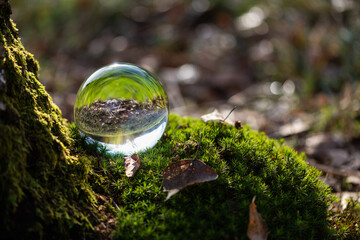 Glaskugel liegt in grünem Moos am Birkenstamm, Frühlingslandschaft spiegelt sich darin.