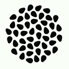 Raw black sesame seeds, organic food