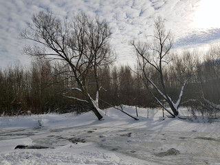 mobile photo. Freezing swamp, snow on the shores