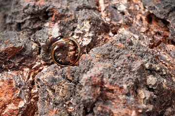 Ring in the form of a dolphin made of bronze and amber on a wooden background close-up.