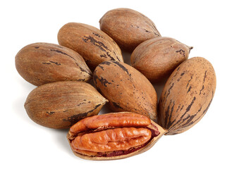 Whole Pecan Nut in Shell Isolated on White.