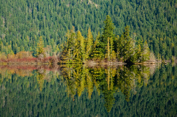 reflection of trees on a tranquil lake, Cameron Lake, BC, Canada