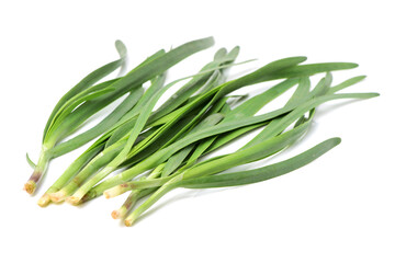 Fototapeta premium Leek on white background