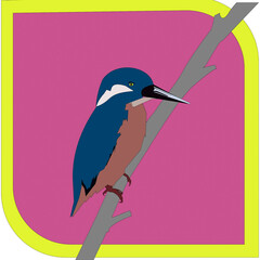 beautiful bird illustration Alcedo coerulescens perched on a branch