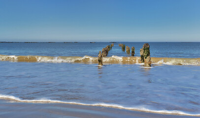 poles for mussels emerging  in waves  at low tide in Atlantic Ocean