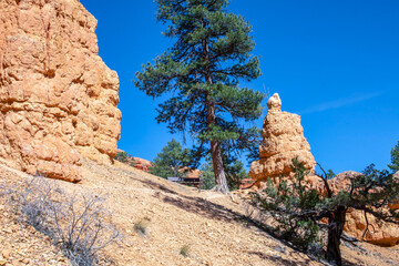 An overlooking view of nature in Dixie National Forest, Utah