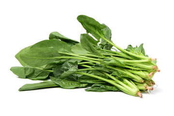 Spinach on white background