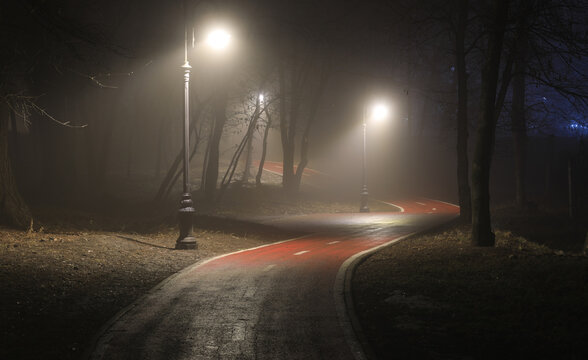 Lantern Lights On The Road In The Forest In The Fog