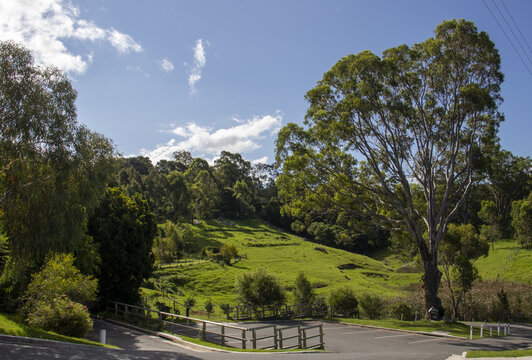 Beautiful shot of a park with green plants against the bright sky in Central Tilba, Australia