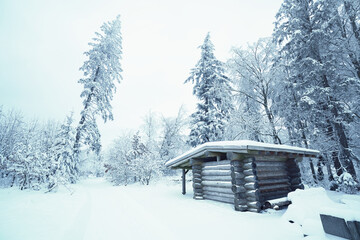 Holzhütte im Wald