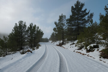 Fototapeta premium Camino de nieve