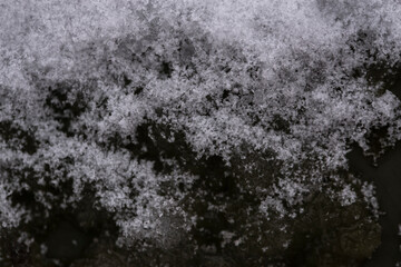 White snow on a black background. Abstract black and white background. Selective Focus