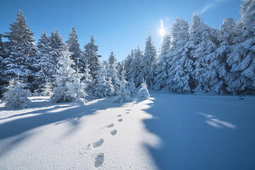 Fototapeta na wymiar Fußstapfen im Schnee