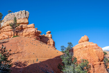 An overlooking view of nature in Dixie National Forest, Utah