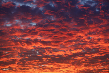 Sky sunset in the evening with colorful, orange, blue clouds