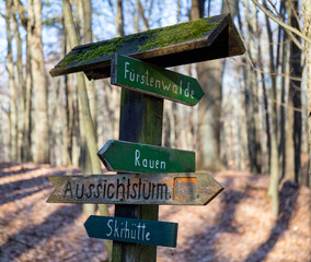 Rauen, Brandenburg, Germany - February 21, 2021 Sign in the forest - shows the direction to Rauen, to Fuerstenwalde and to the observation tower .