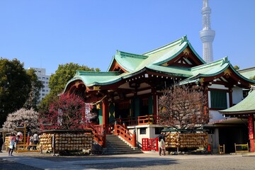 東京　亀戸天満宮（亀戸天神社）