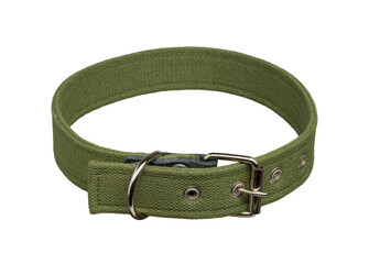 dog collar isolated on white background