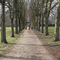 Fototapeta na wymiar A family taking a walk together with their dog through a treelined avenue in the winter sunshine