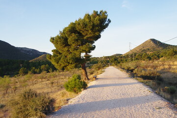 Via verde Maigmo. Trekking por Alicante