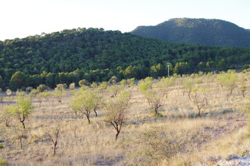 Via verde Maigmo. Trekking por Alicante