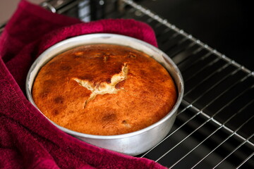 a ruddy cooked pie in a baking container stands on the grill of the oven