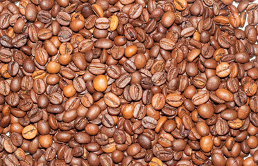Coffee bean background close-up. Texture of coffee beans