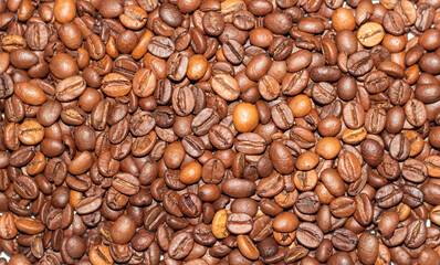 Coffee bean background close-up. Texture of coffee beans