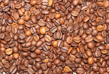 Coffee bean background close-up. Texture of coffee beans
