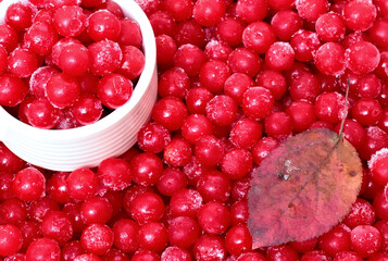 Frozen berry viburnum close-up on the table