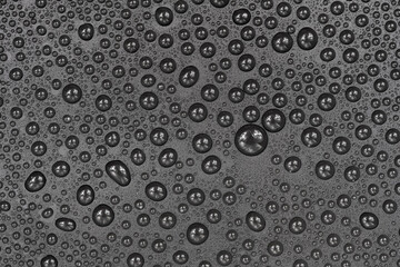 Water drops on black background texture. Dark backdrop glass covered with drops of water. gray...