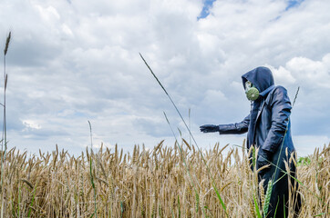 A man with a gas mask in a field of ripe grain. Petrovaradin, Novi Sad, Vojvodina, Serbia 
