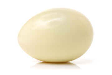 Goose egg on white background