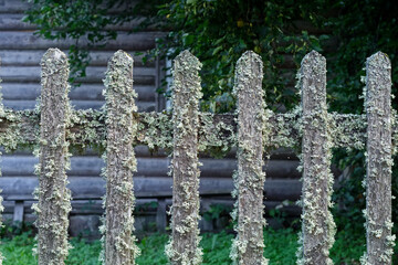 Fragment of an old fence.