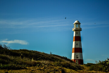 Faro © Veronica