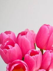 Obraz premium Bouquet of tulips wrapped in craft paper on pink background with space for text. Greeting card. Concept woman's or mother's day. Spring flowers background. Close-up