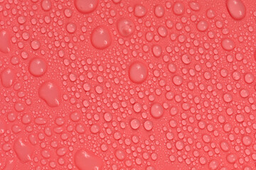 Water drops on red background texture. backdrop glass covered with drops of water.  bubbles in water