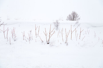 Winter road and snow with landscape of trees. Winter background. Snow covered landscape while...
