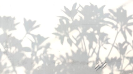 abstract wall image with tree leaf silhouette background.