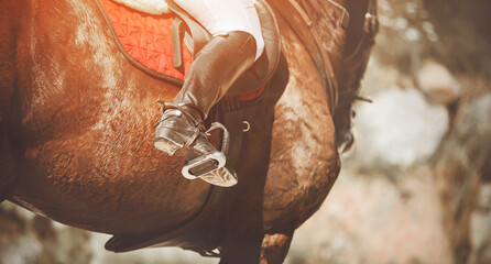 Horse riding. A bay horse with a rider sitting in the saddle in leather boots with spurs,...