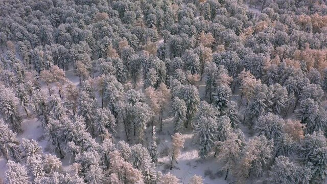 Snow covered mountains and trees air wide landscape shot