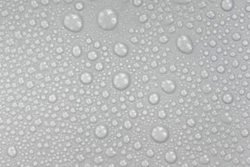 Water drops on white background texture. backdrop glass covered with drops of water.  bubbles in water