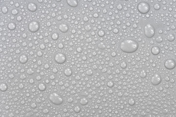 Water drops on white background texture. backdrop glass covered with drops of water.  bubbles in water