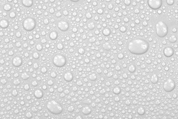 Water drops on white background texture. backdrop glass covered with drops of water.  bubbles in water