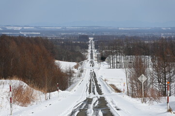 眼下に続くまっすぐな道